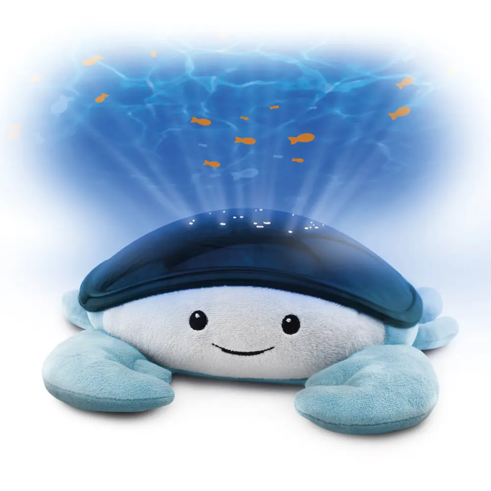 Cody Projector Ocean, Krabbe fra Zazu